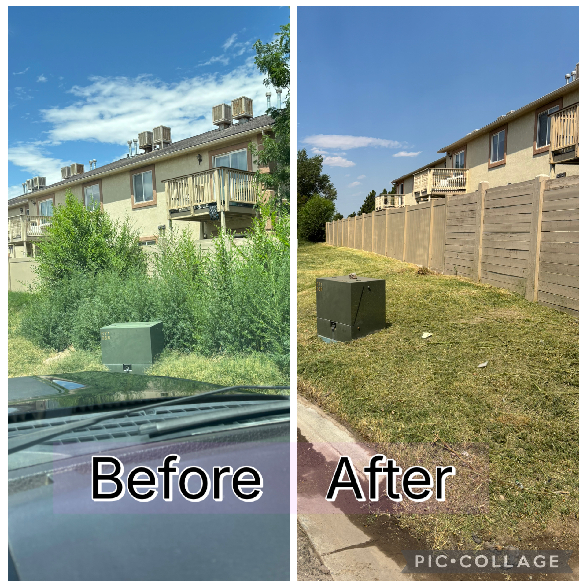 Yard Cleanups & Improvements