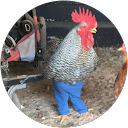Peri Ann Unfred profile picture